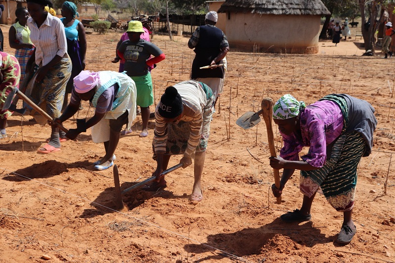 International Day Of Rural Women